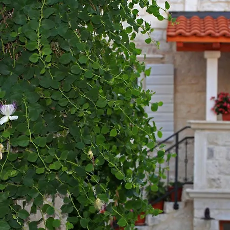 Kapar - Gajeta アパート